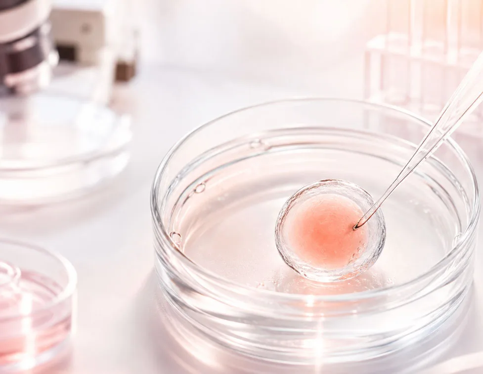 Pricing scope and treatment-planning guidance at Clavis IVF Center