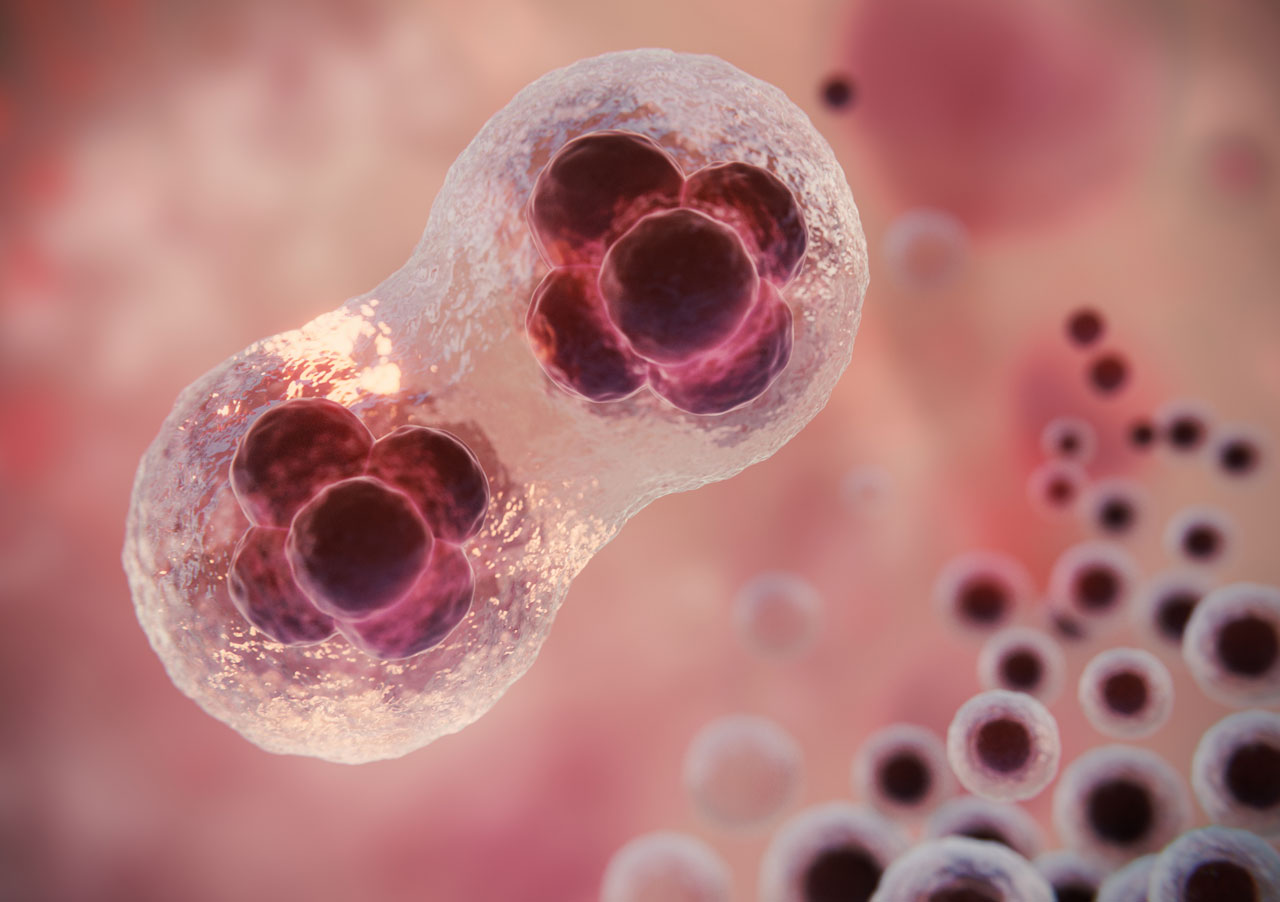 Tandem Siklus Kıbrıs